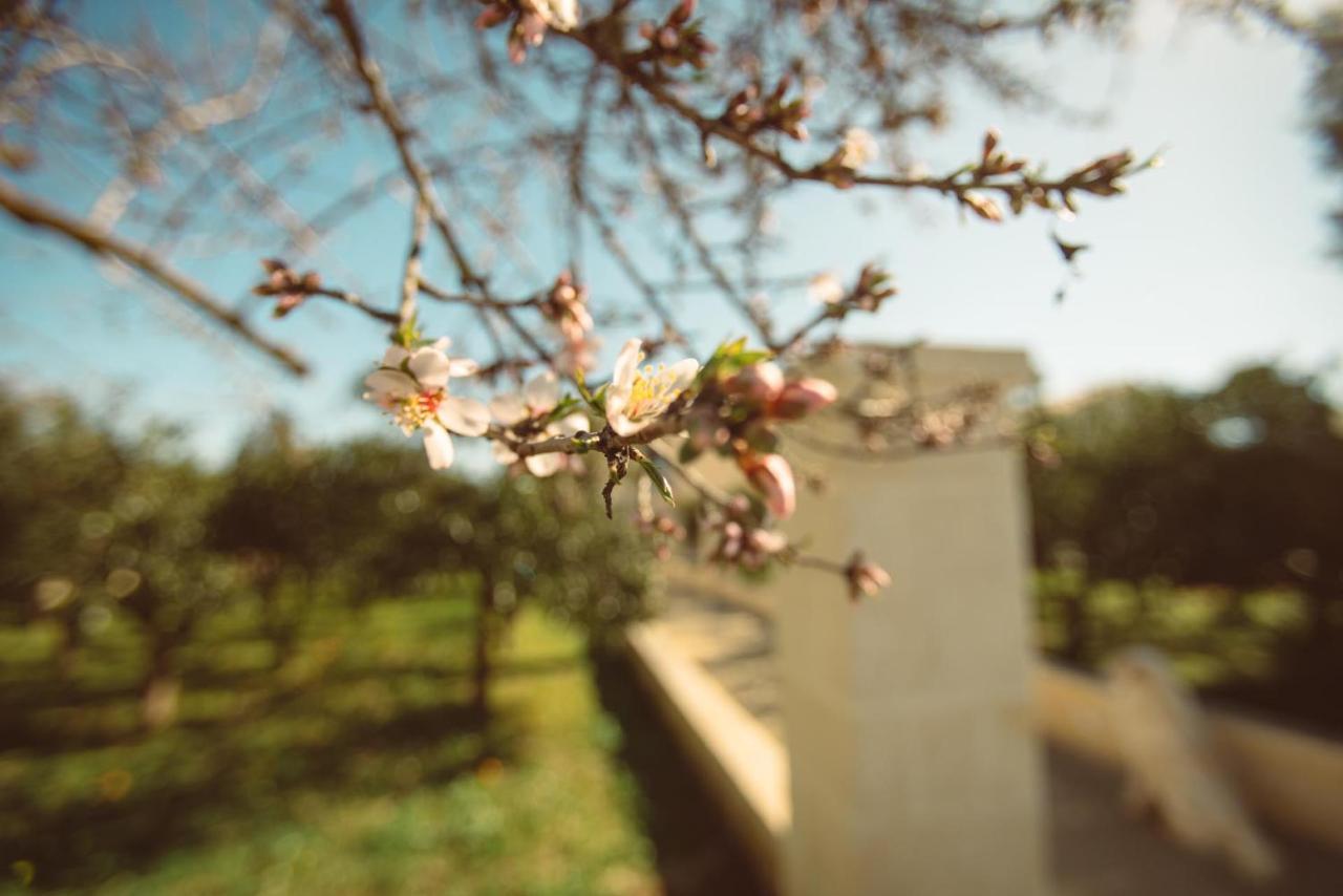 Masseria Gagliardi Taranto Exterior photo
